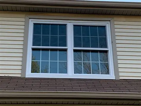 professional window replacement